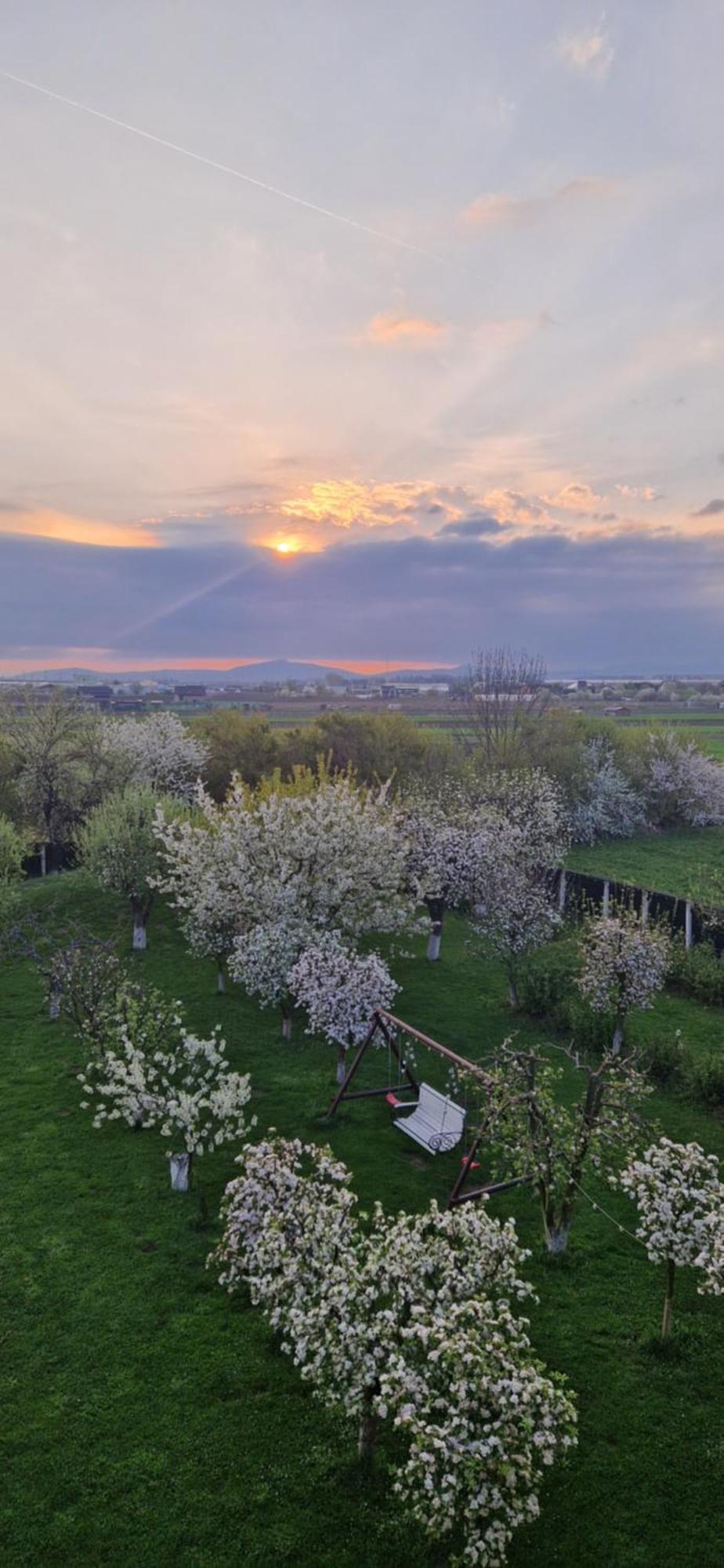 Hotel Stupina Braszów Zewnętrze zdjęcie