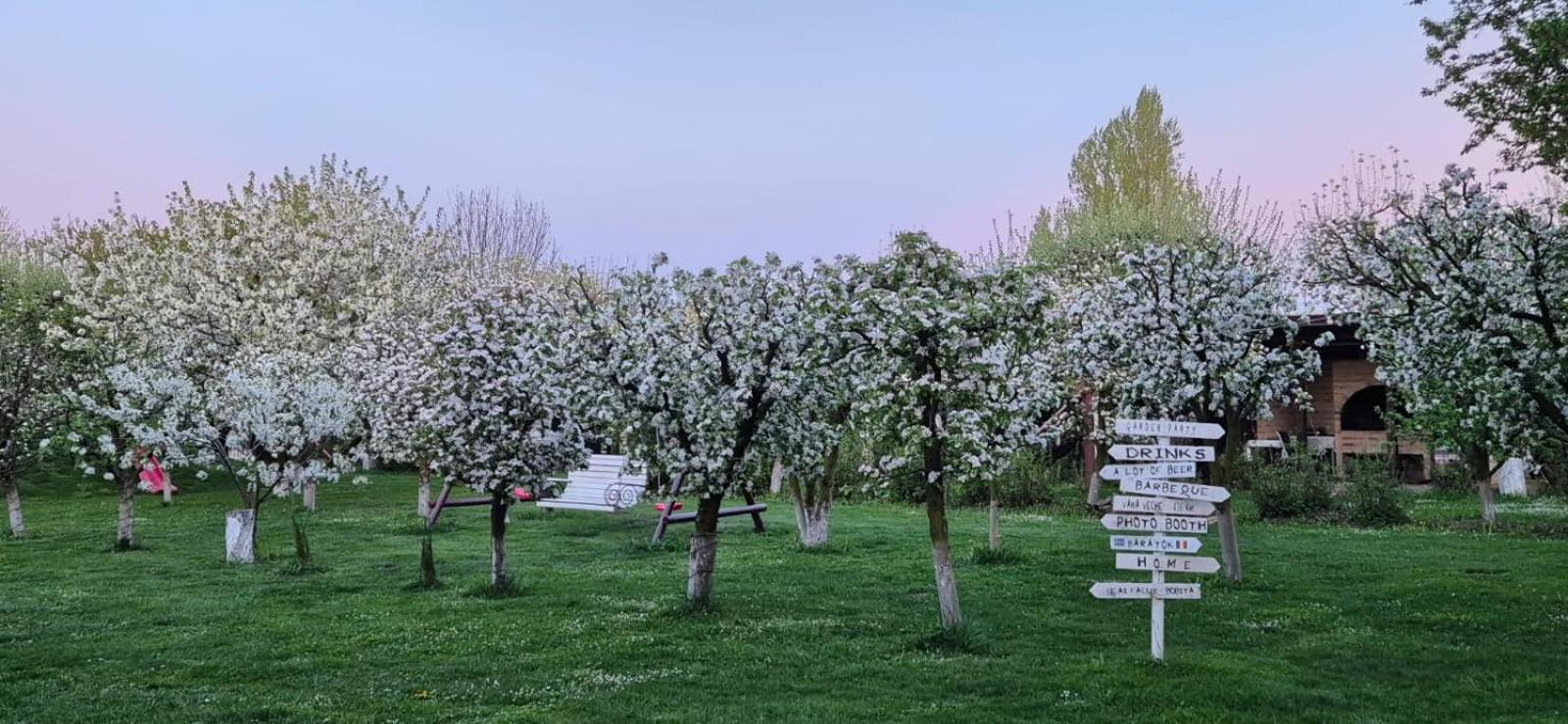 Hotel Stupina Braszów Zewnętrze zdjęcie