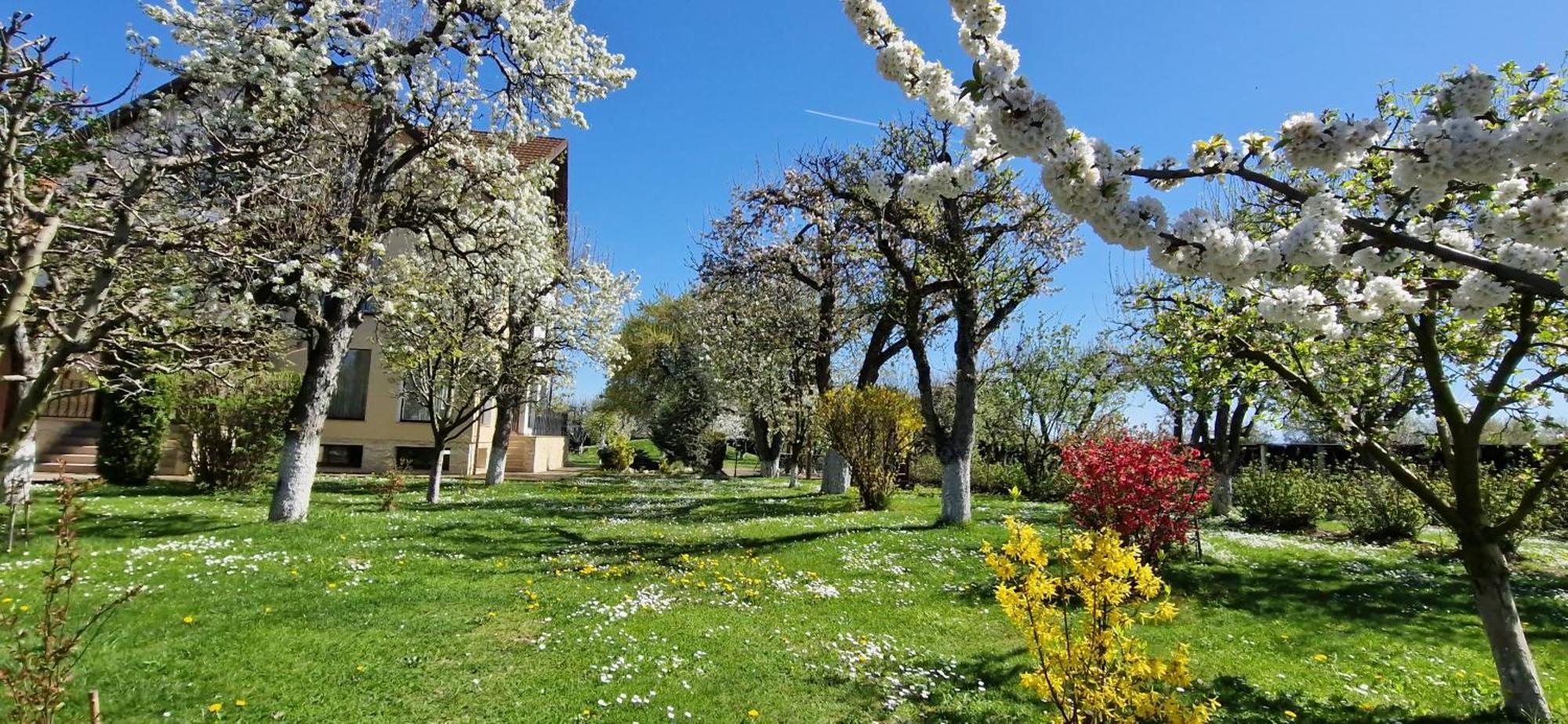 Hotel Stupina Braszów Zewnętrze zdjęcie