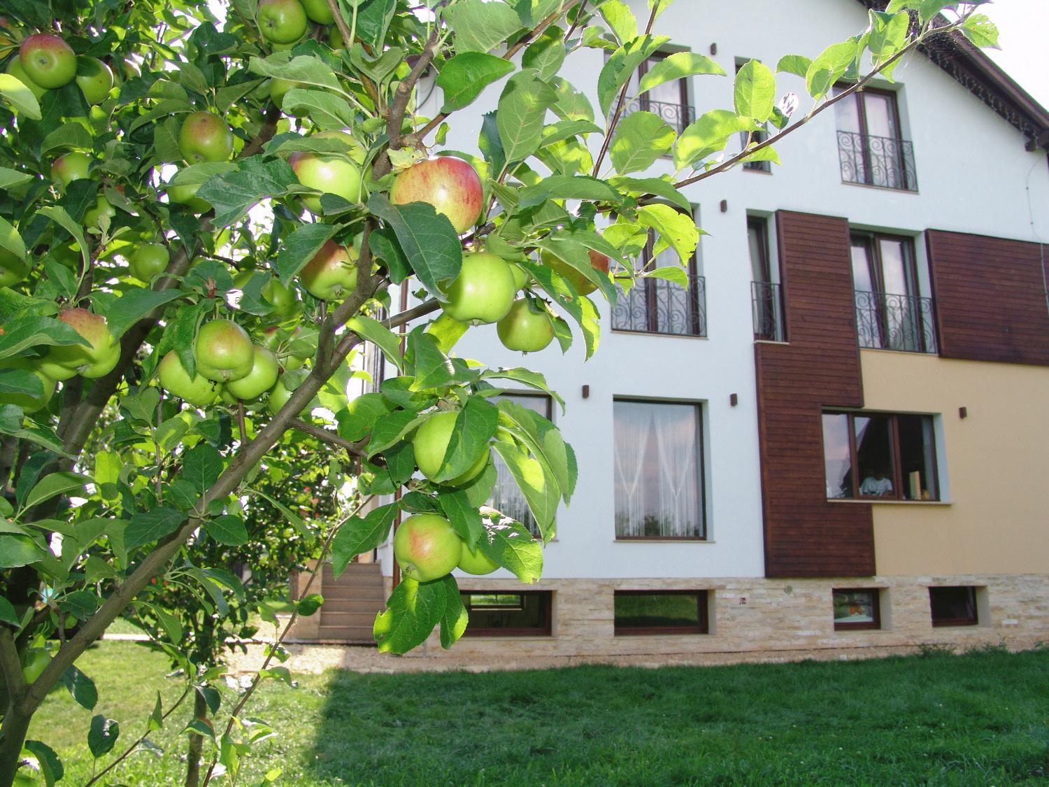 Hotel Stupina Braszów Zewnętrze zdjęcie