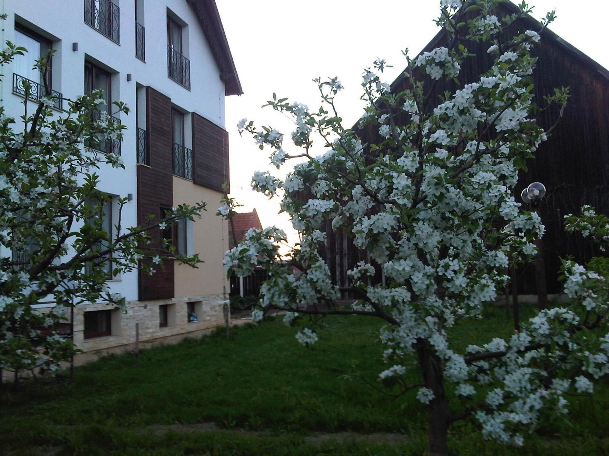 Hotel Stupina Braszów Zewnętrze zdjęcie