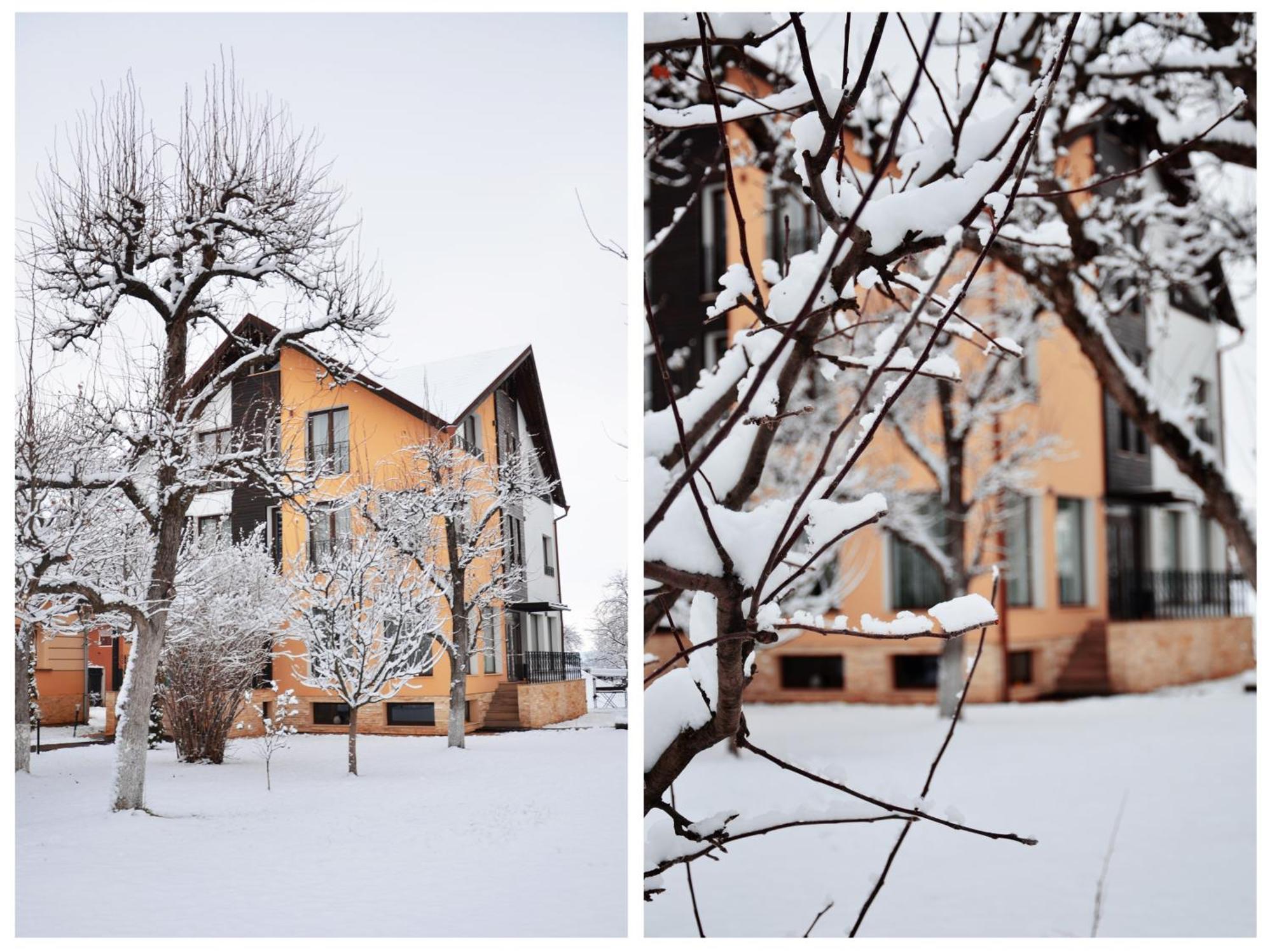 Hotel Stupina Braszów Zewnętrze zdjęcie